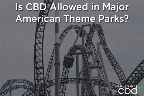 CBD In Disney? — Is CBD Allowed In Major American Theme Parks?